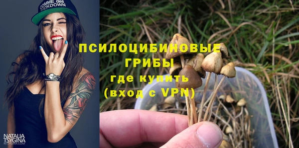 мяу мяу мука Армянск
