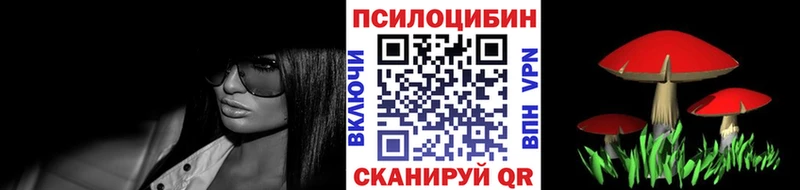 Галлюциногенные грибы Cubensis Мышкин